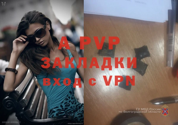 ешки Елизово