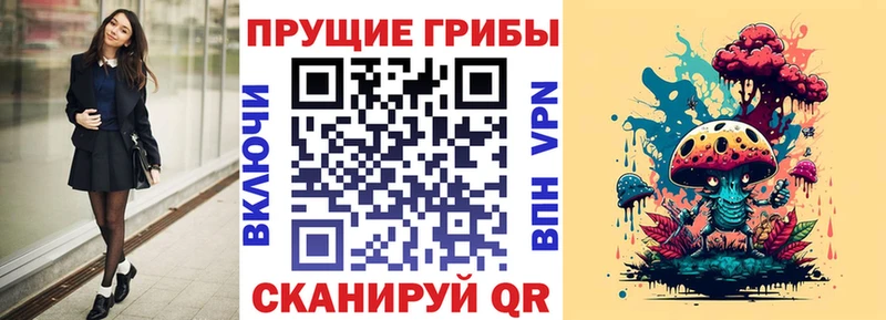 хочу   Салават  Галлюциногенные грибы ЛСД 